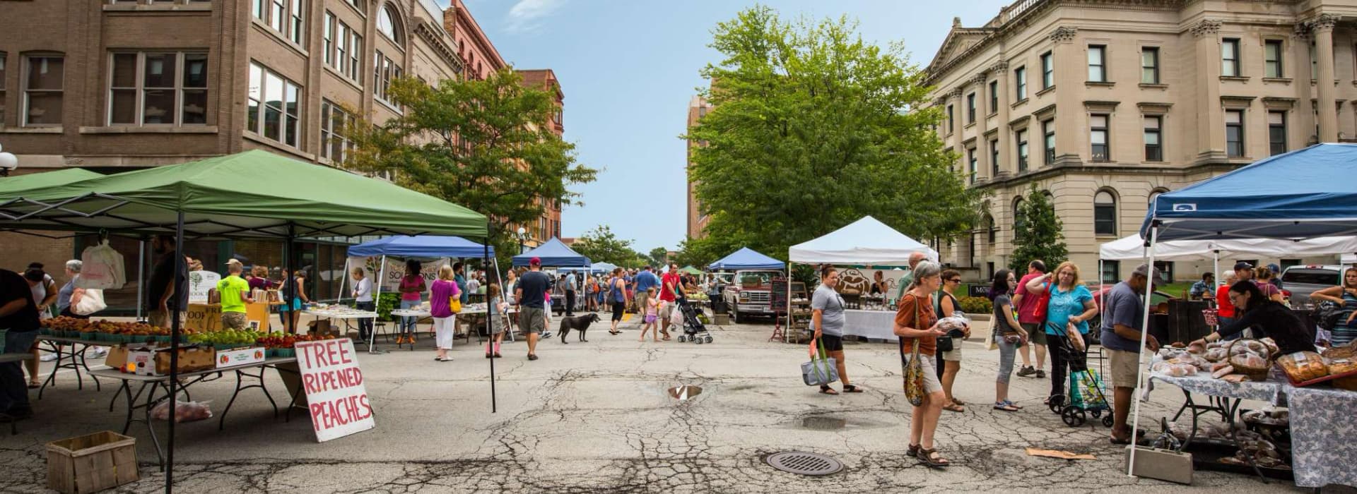 A bustling farmers market with colorful tents and people shopping for fresh produce and goods.