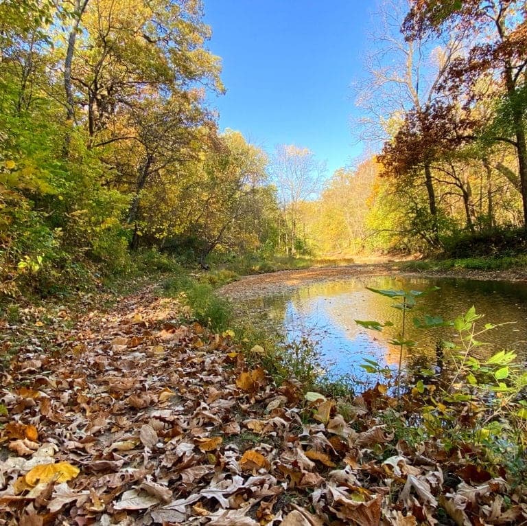 A serene landscape featuring a calm pond surrounded by colorful autumn foliage and a path covered in fallen leaves.