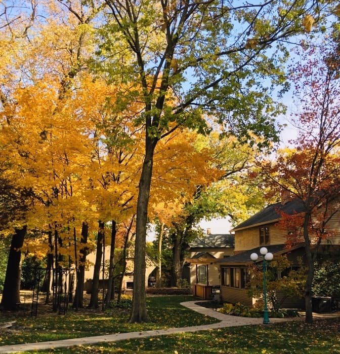 A pathway winds through a neighborhood surrounded by vibrant autumn trees.